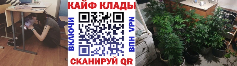 Где продают наркотики Кировск Alpha PVP ГАШ COCAIN