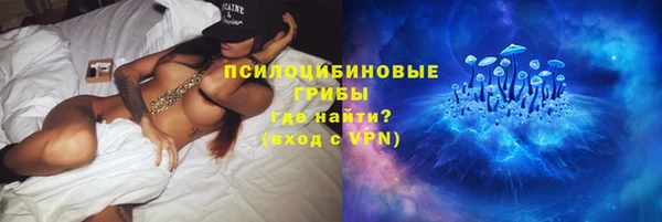 ПСИЛОЦИБИНОВЫЕ ГРИБЫ Армянск
