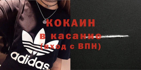 крисы Баксан