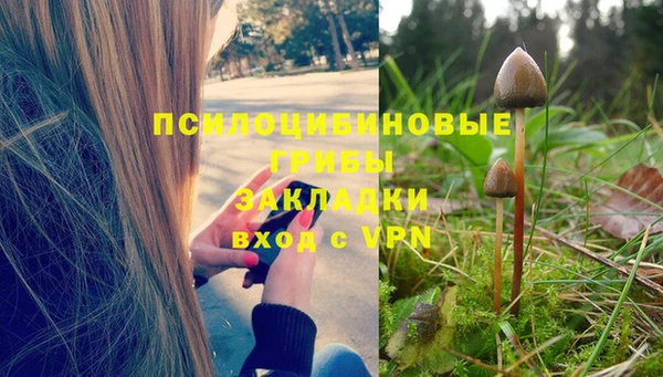 PSILOCYBIN Балахна