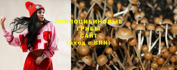 соль ск Арсеньев