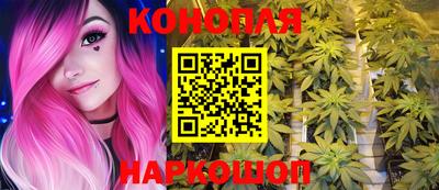 тгк Гай
