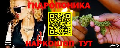 крисы Гагарин