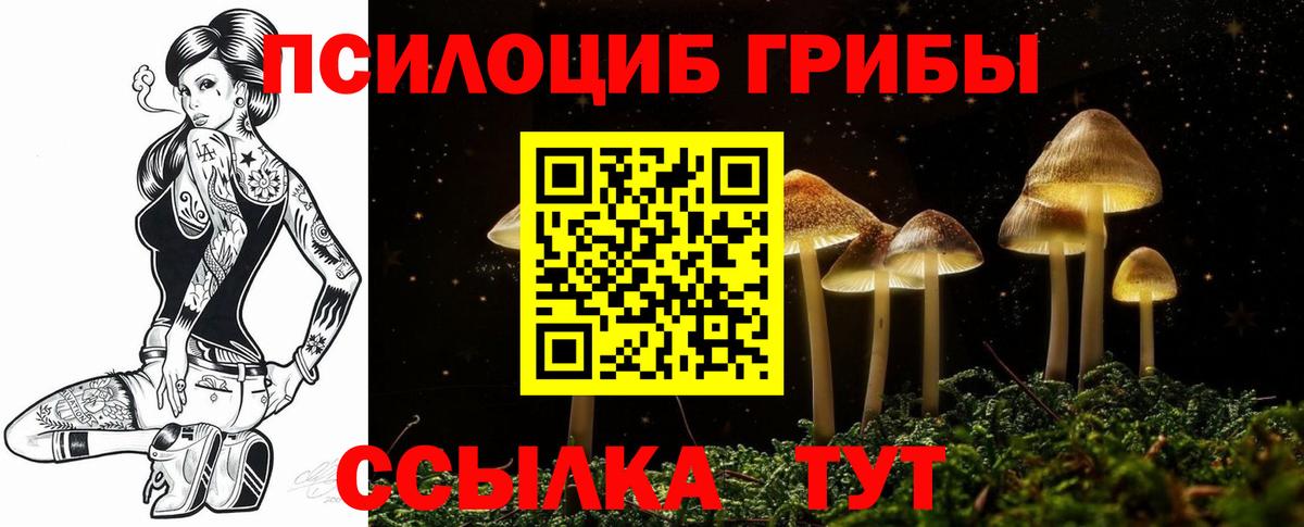 Псилоцибиновые грибы Psilocybine cubensis  Псилоцибиновые грибы Psilocybine cubensis  Кировск  Вход с VPN 