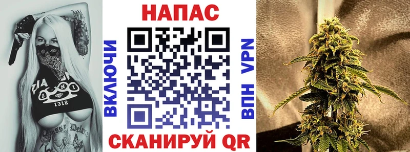 Бошки марихуана White Widow  купить   Кировск 